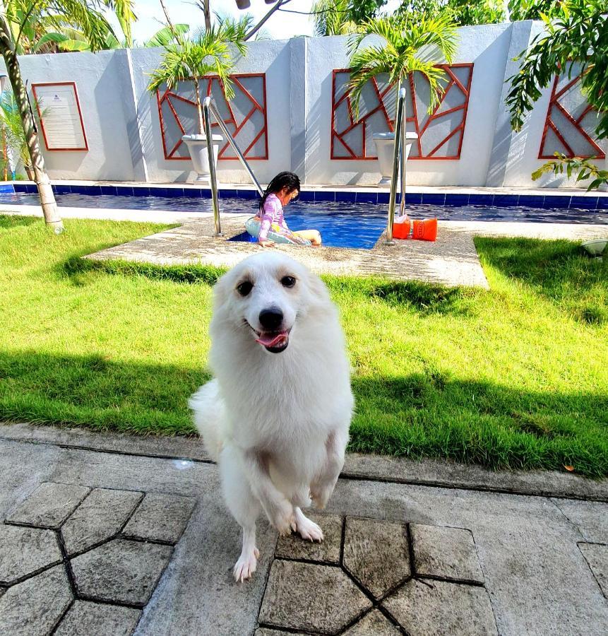 Sapphire Boutique Resort 邦劳 外观 照片